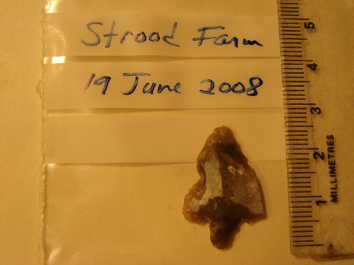 leaf-shaped arrow head